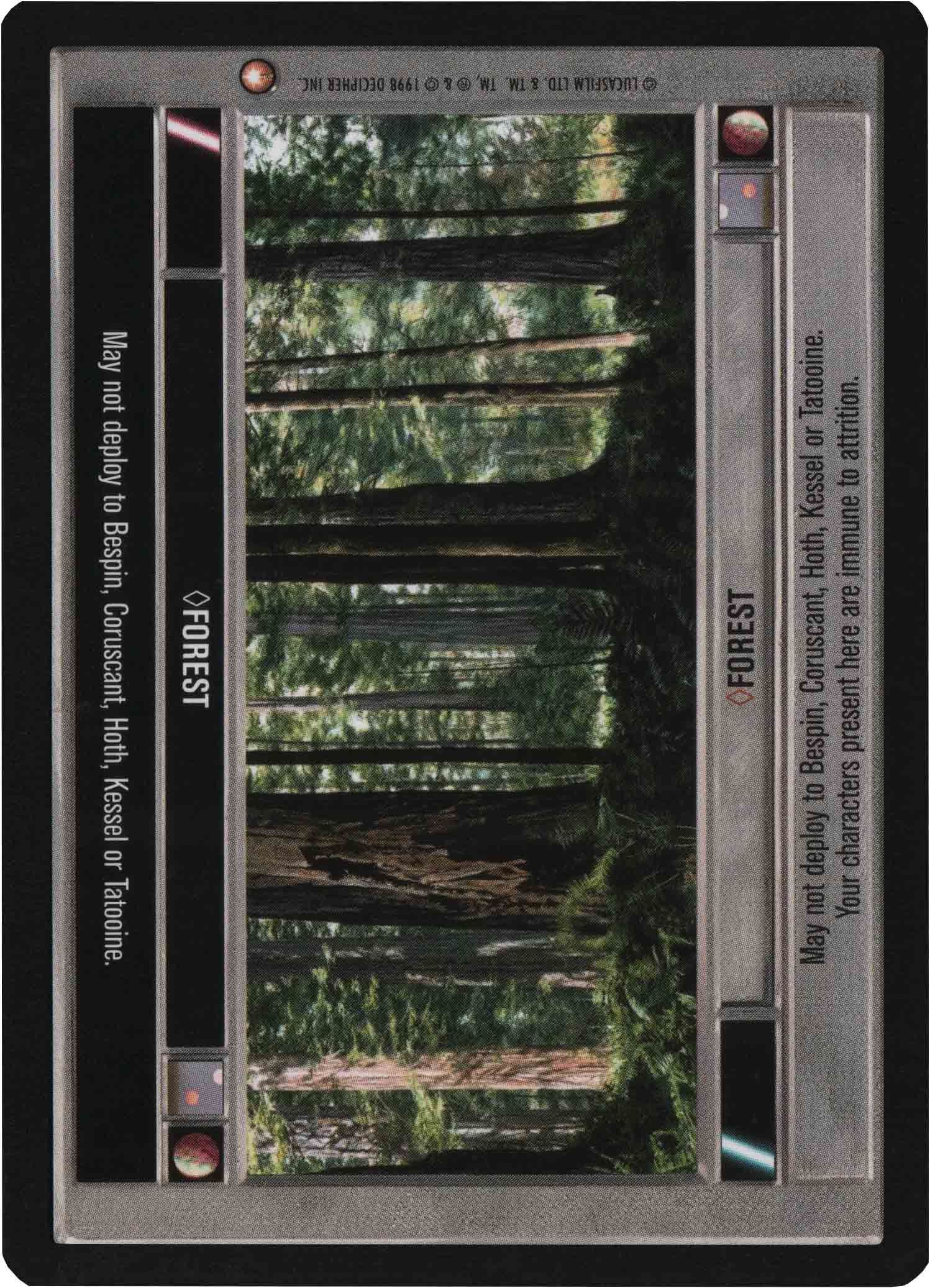 Forest - Lightside
