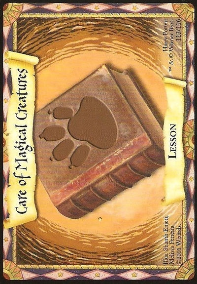 Care of Magical Creatures
