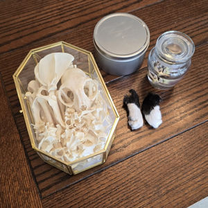 Cat bones, paws, & heart