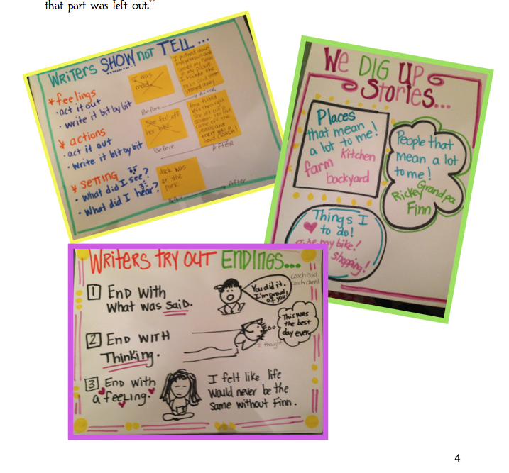 Mini Lesson Anchor Charts Writing