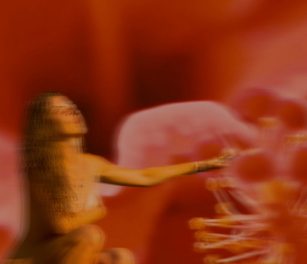 50.png