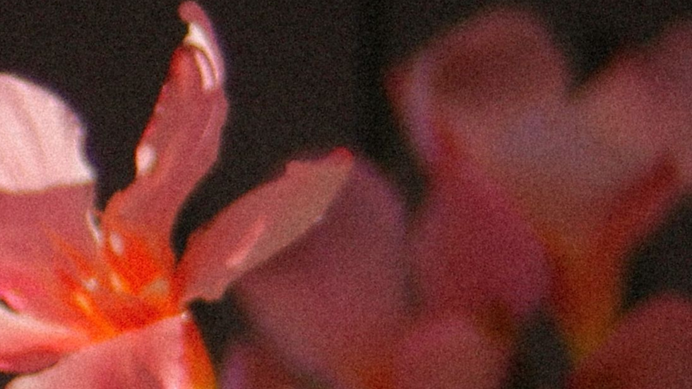 Website Querformat (5).png