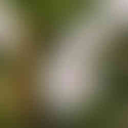 Christmas bauble with a wreath design that has a heart in the middle.