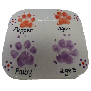 Dog paw prints in clay