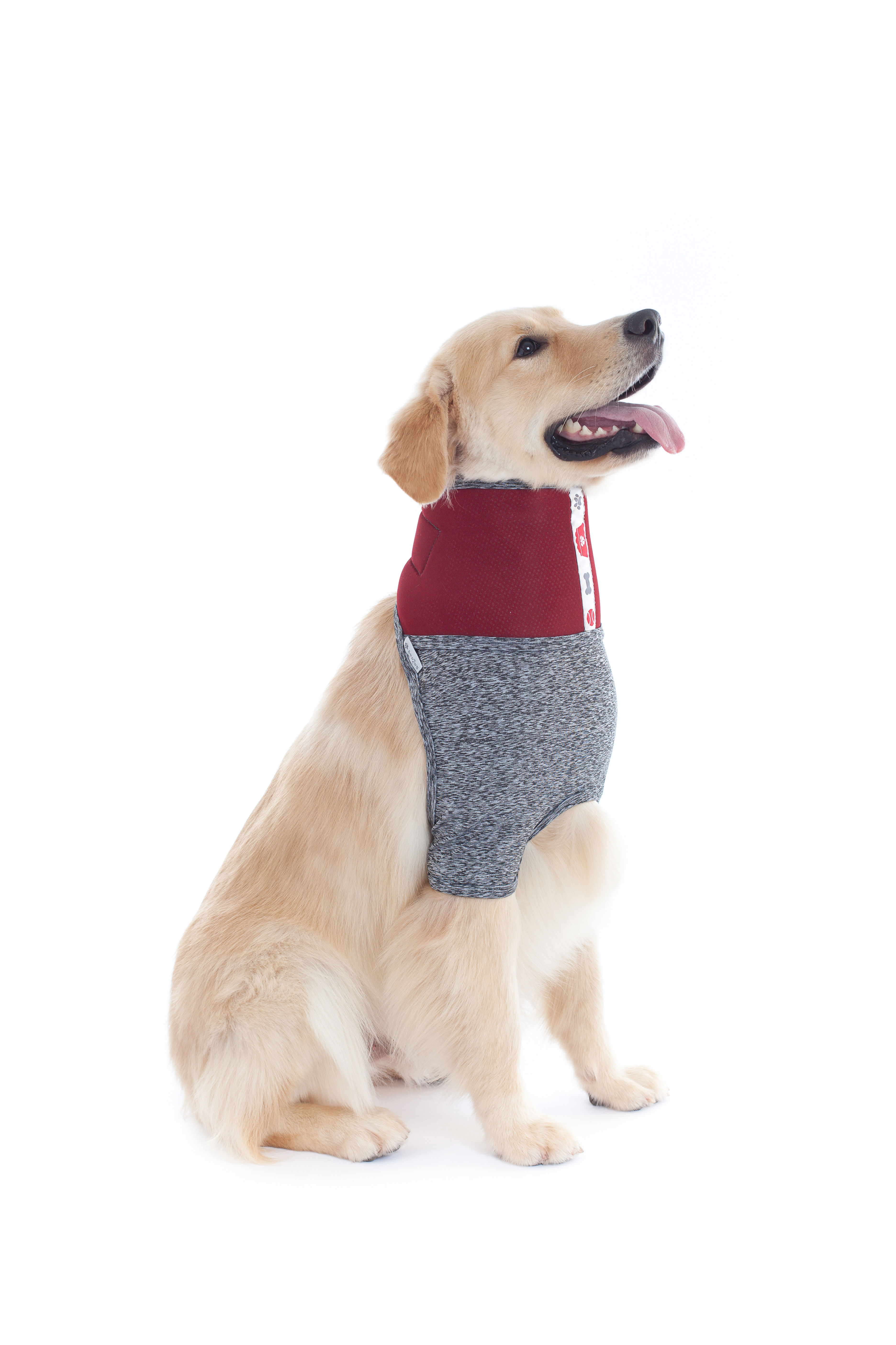 Neck Protector - DRY