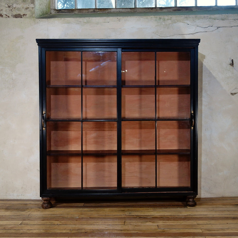 A 19th Century Ebonised Glazed Sliding Door Apothecary Cabinet