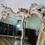 Thumbnail: A Exceptional 19th Century French Painted Rococo Overmantel Wall Mirror