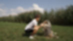 Miniaturbild: FIT MIT HUND