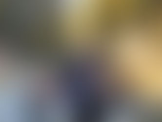 苗木の注文がにわかに動き出した