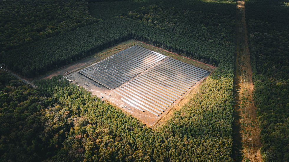 DJI_20250918112520_0226_D-2.jpg