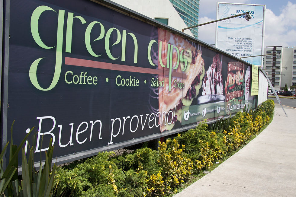 Green Cups