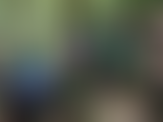 Grupo de homens auxilia um cadeirante em cadeira adaptada durante percurso em trilha na mata, superando trecho com pedras e desníveis em meio à vegetação densa.