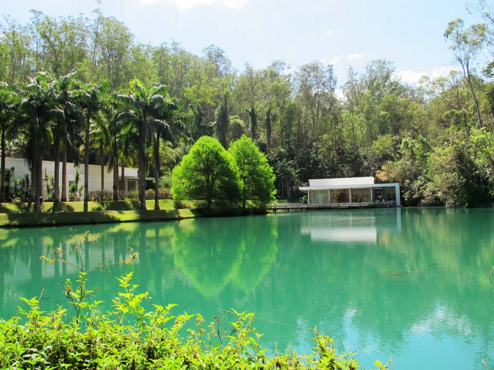 Vista do Instituto Inhotim com foco em um lago de águas verde-esmeralda cristalinas. À direita, a Galeria True Rouge (dedicada a Tunga) aparece como um pavilhão de vidro e estrutura branca debruçado sobre a água. À esquerda, palmeiras altas e uma construção branca linear completam o cenário. Duas árvores de verde vibrante e formato cônico se destacam no centro da margem. O fundo é composto por uma densa mata verde sob luz solar clara.