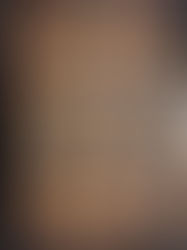 Die Hühner sind los!