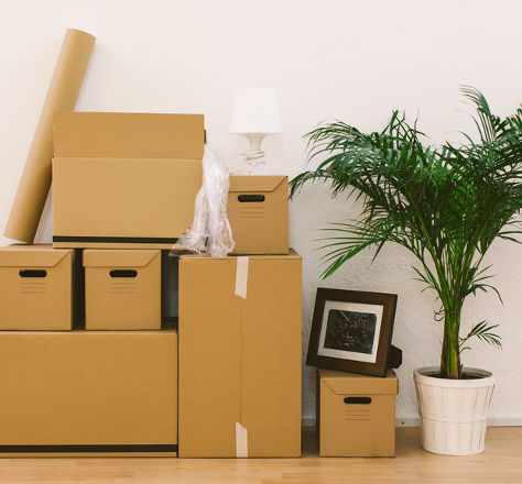 Guia: Onde encontrar caixas para sua mudança