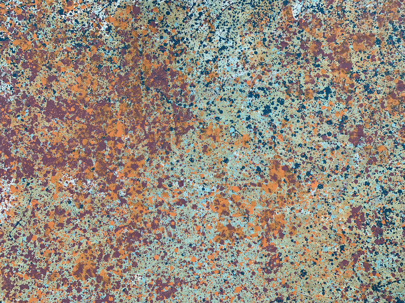 4600495B-0638-4752-B0D5-9A40B0D3F683.jpeg