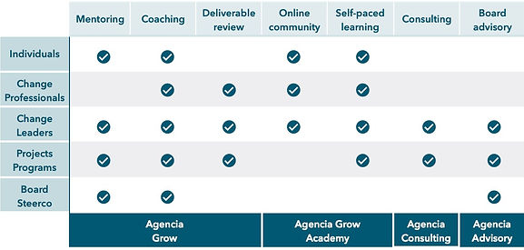 Agencia Change Service Groupings