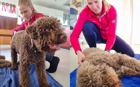 Erste Physiostunde von Primo & Emilio 