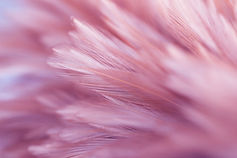 AdobeStock_250775869.jpeg