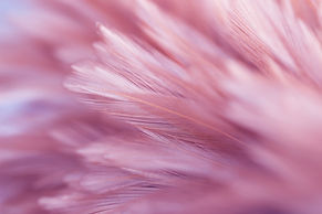 AdobeStock_250775869.jpeg