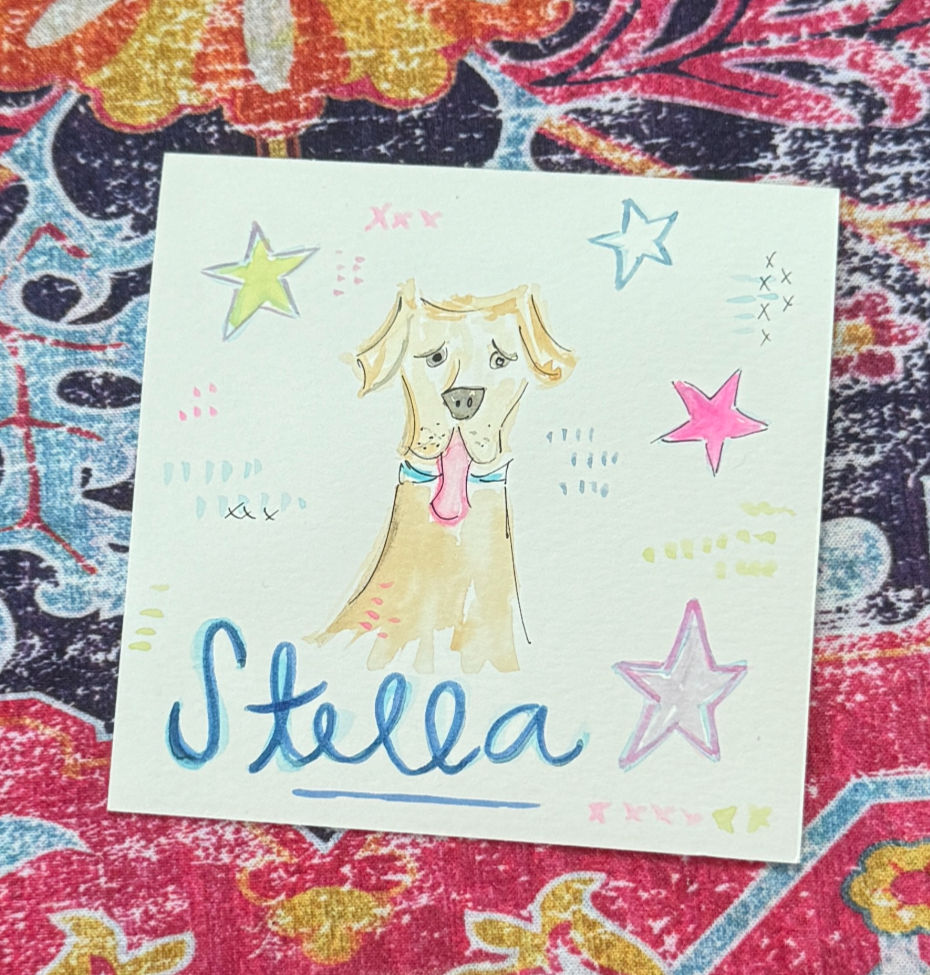 Party Pet Sketch - Artist's Choice