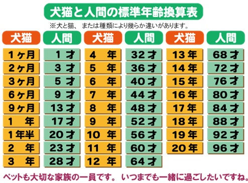 犬猫、年齢表.jpg