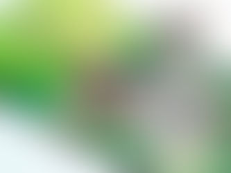 ¿Conoces la ciencia de la fotogrametría?