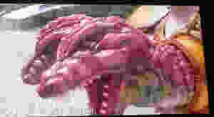 Weird Shit #4