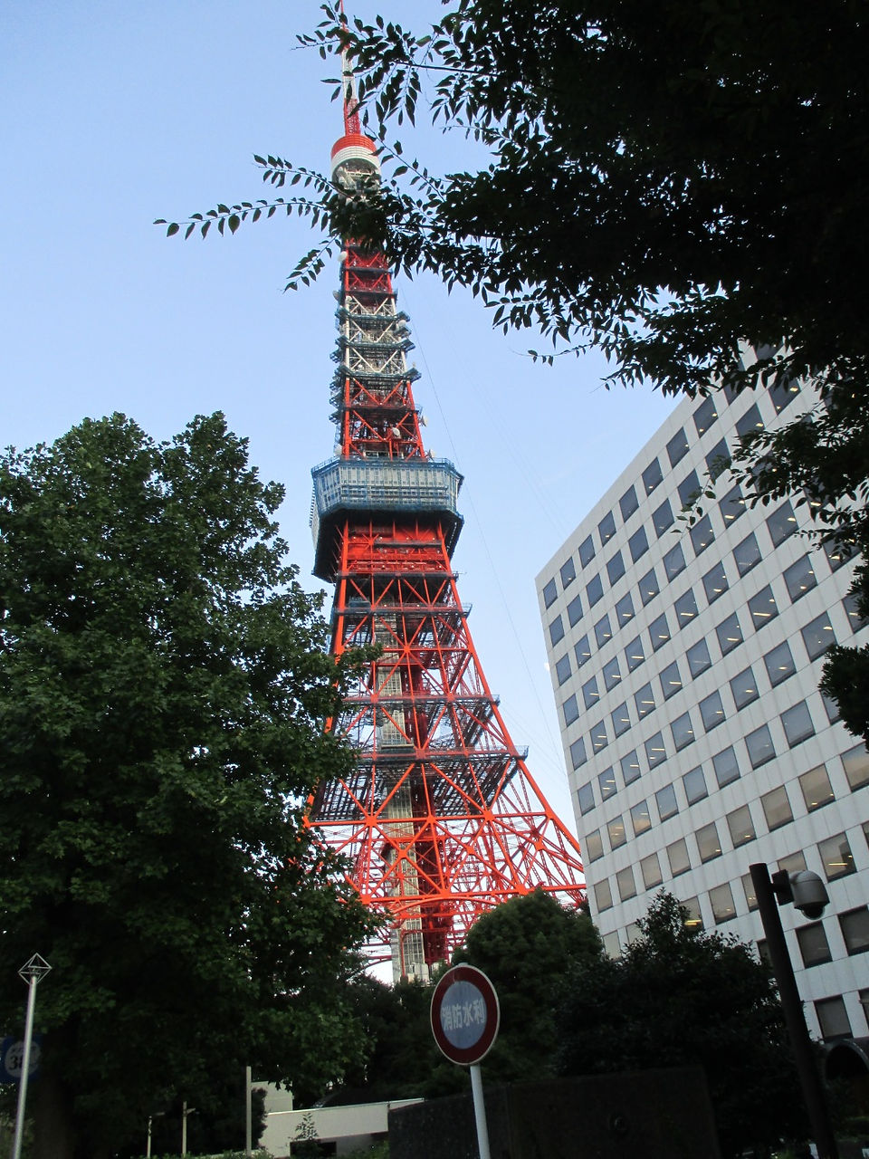 IMG_2818_edited