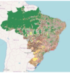 MAPA BRASIL_edited.jpg