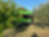 IMG_2054.jpeg
