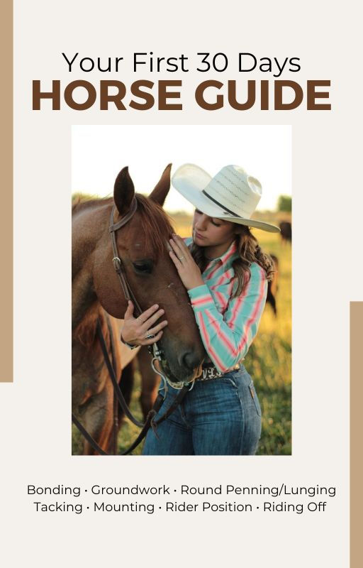 Your First 30 Days Horse Guide