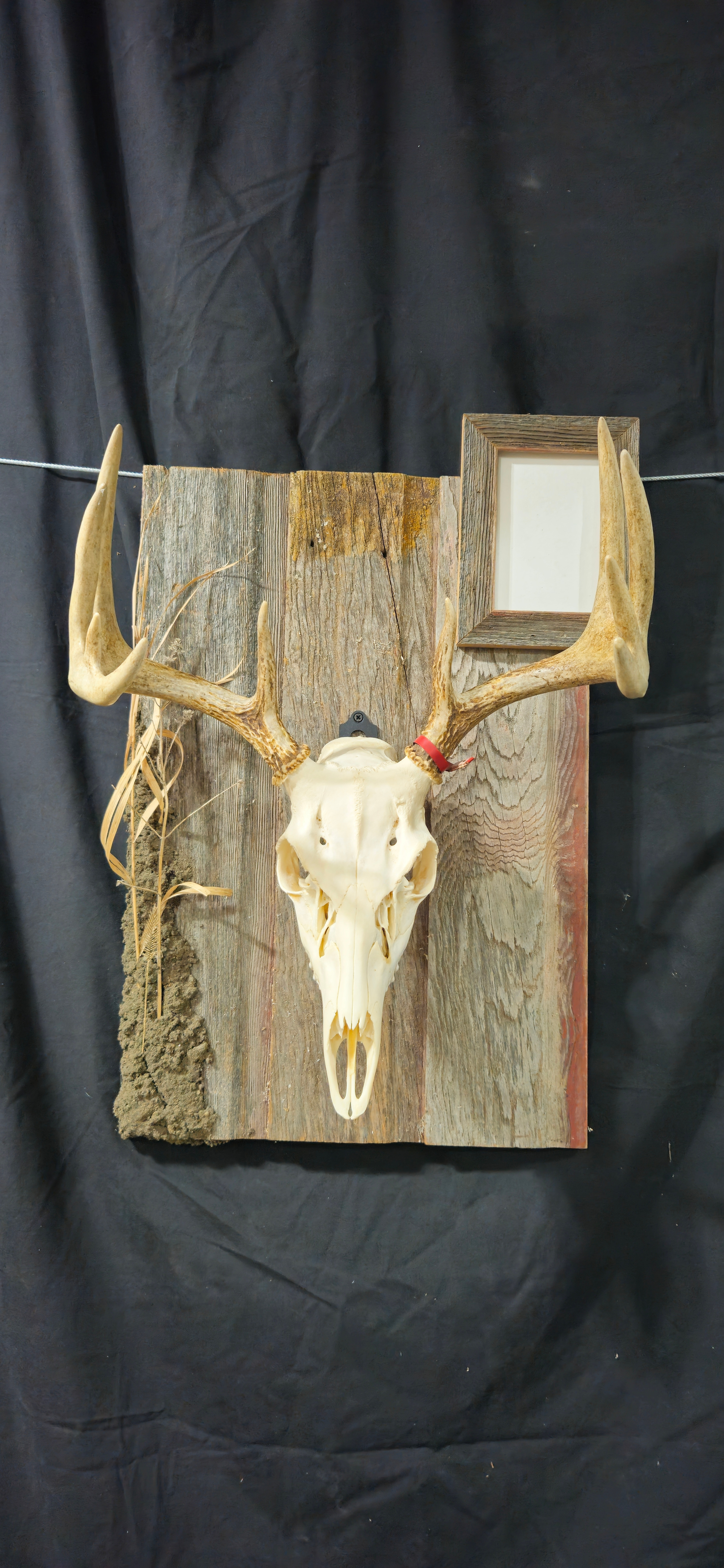Large Wall Display