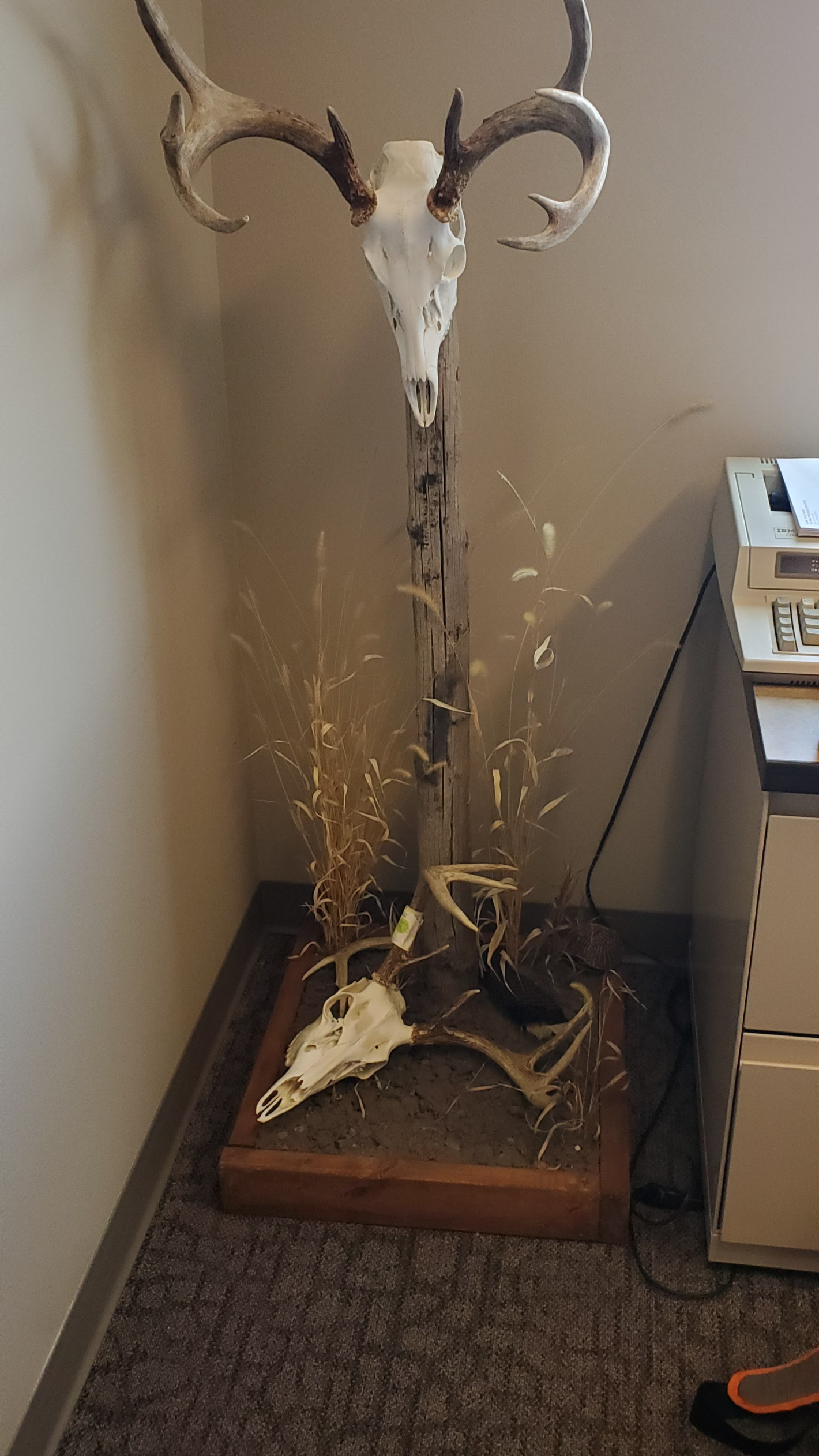 Euro Pedestal Mount