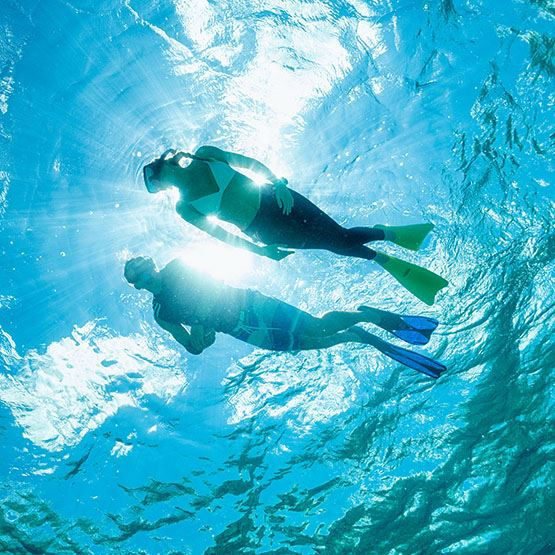 Miniatura: Aletas UF-0202 PIE CERRADO