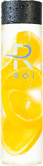 Roi Pics 09 PS SINGLE.jpg