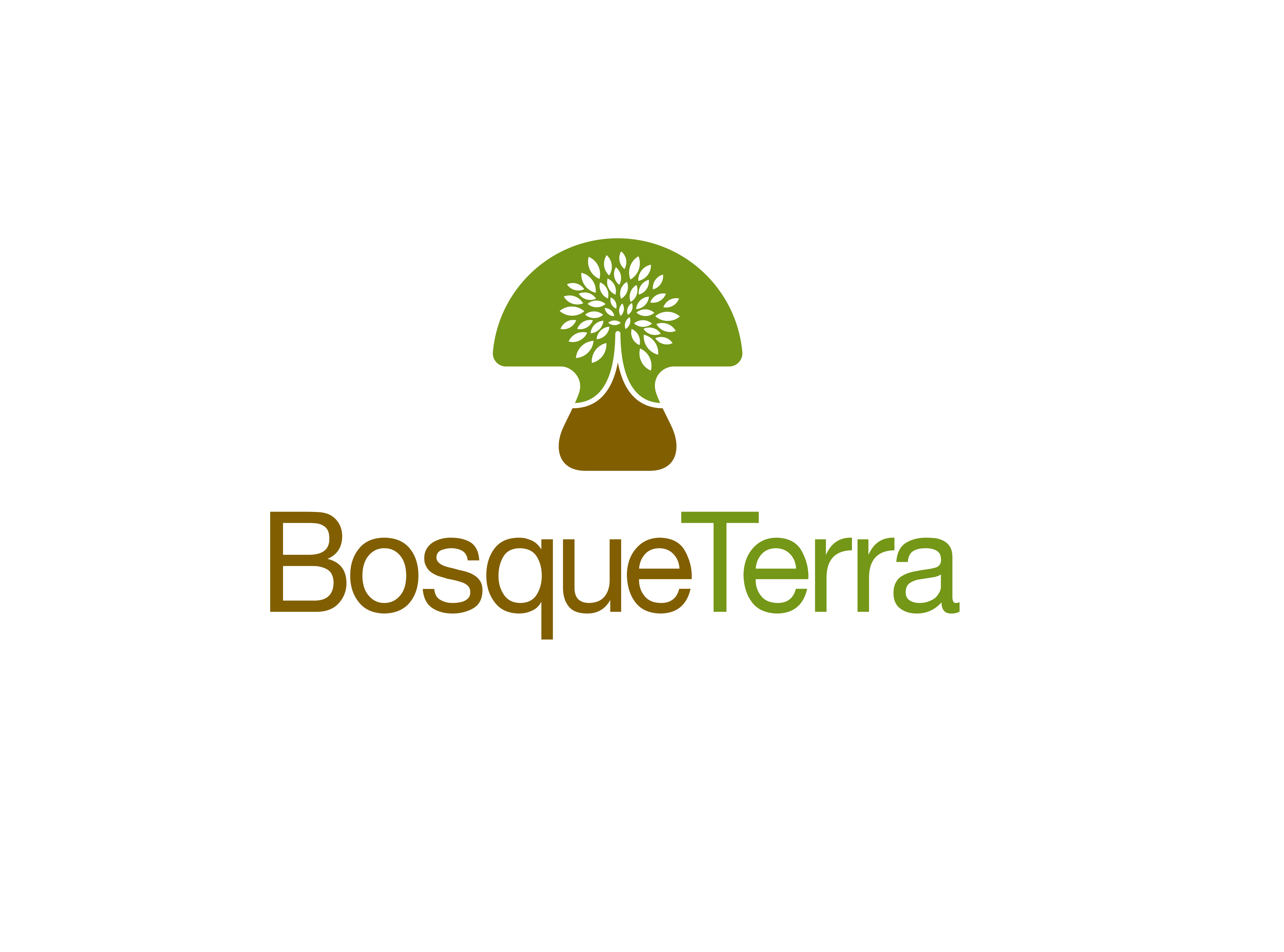 Foto del escritor: BosqueTerra