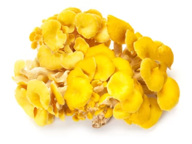 Miniatura: Suscripción SmartFungi 1 bloque / 2 meses SIN envío (6 entregas)