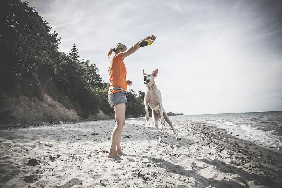 Hundetrainerin in Action am Strand
