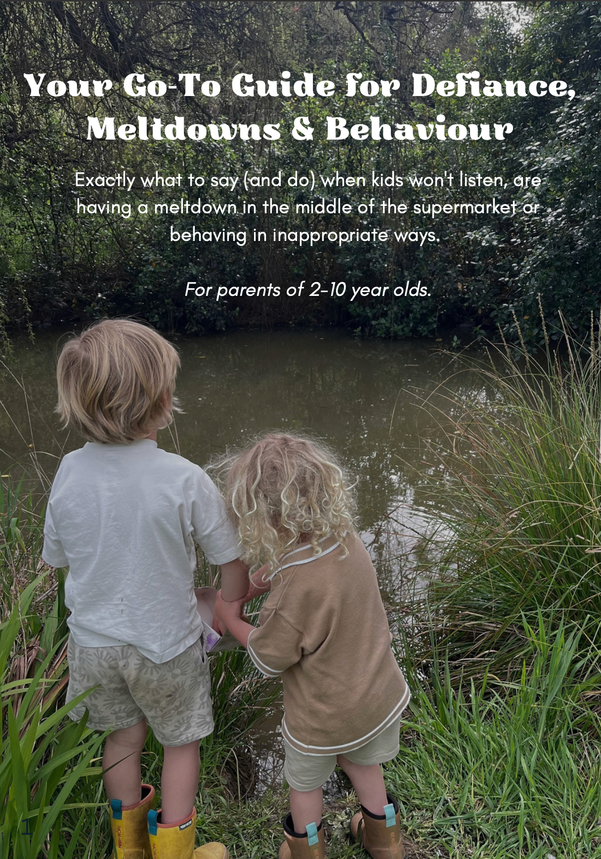 Your Go-To Guide for Defiance, Meltdowns & Behaviour (eBook)