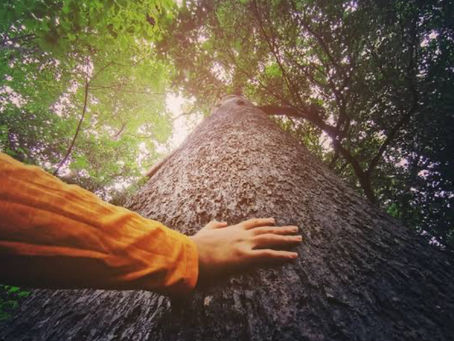 A TERRA NÃO É NOSSA CASA. SOMOS INTRUSOS?