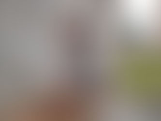 SILVIO ALMEIDA ESTÁ MORTO