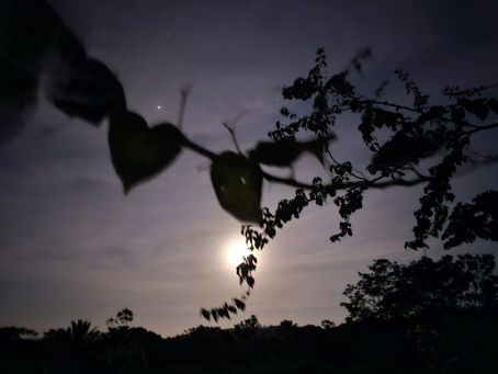 A MÍNIMA FRAÇÃO DE NÓS