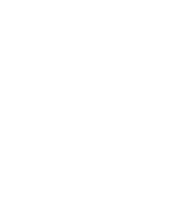 BV Logo White.png