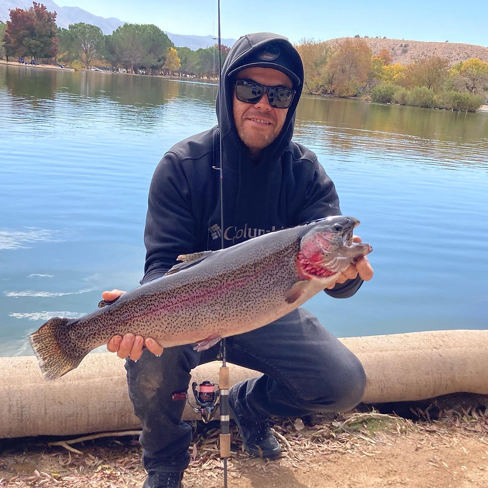 Thumbnail: Excalibur Rods