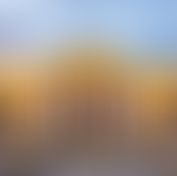 La Mano Dura: Trading Democracy for the Illusion of Security