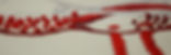 SRSS needle 2_edited.jpg