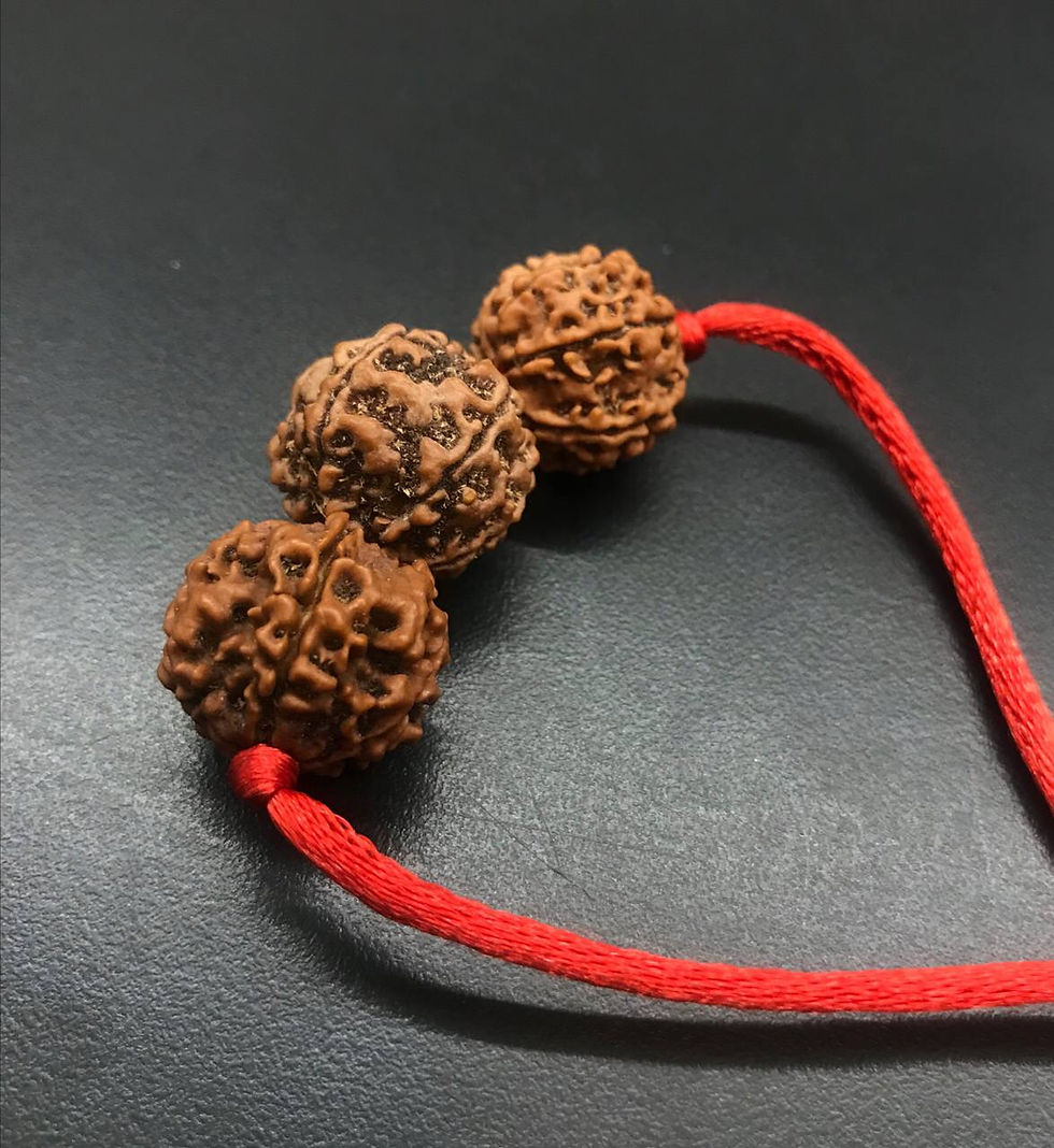 Thumbnail: Rudraksha Education Kavach