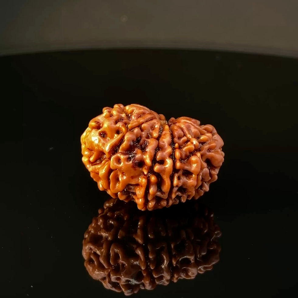 Thumbnail: Certified Original 11-Mukhi Nepali Rudraksha IGL- 146077RD