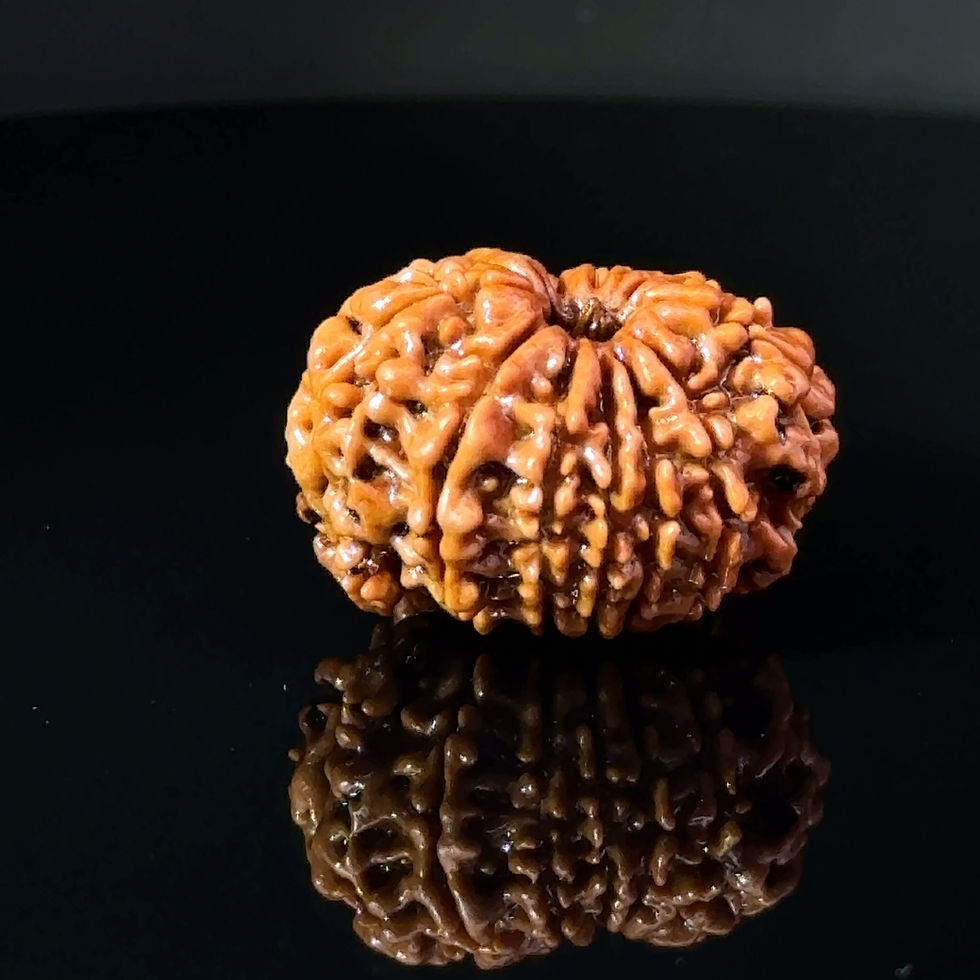 Thumbnail: Certified 11 MUKHI GANESH Rudraksha IGL-146078RD
